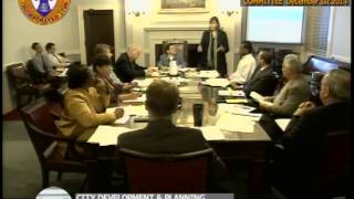 preview picture of video 'Schenectady City Council Committee Meeting December 1st 2014'