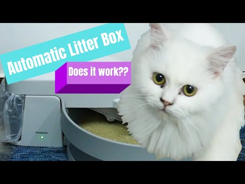 We tried an automatic litter box | Cats' Reactions 🐱🐱