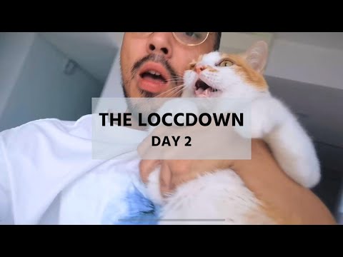 THE LOCCDOWN : DAY 2