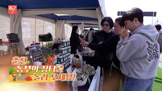 춘천 농부의 장터로 놀러 오세요! / 강원매거진7 / [생생 현장] / G1방송 / 260403