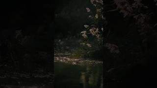 Download lagu Hasi Ban Gaye 🥀🌸|| Hasi Sog || female version || Shreya Ghoshal 💫#shorts #song #music mp3 Download lagu Hasi Ban Gaye 🥀🌸|| Hasi Sog || female version || Shreya Ghoshal 💫#shorts #song #music mp3