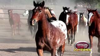 Tombstone Monument Ranch - Best Wild West Vacation - Arizona 2017