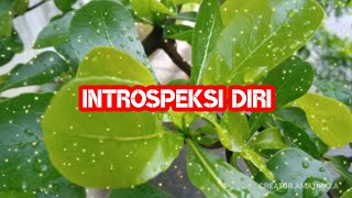 Download lagu Status Wa Introspeksi Diri Terbaru | Status Wa 30 Detik mp3 Download lagu Status Wa Introspeksi Diri Terbaru | Status Wa 30 Detik mp3