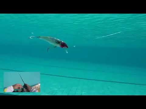 Vídeo Isca Sun Fishing Sunset 90