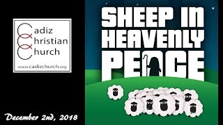 CCC - "Sheep in Heavenly Peace" Christmas Play