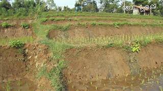 Download lagu KACAPI SULING - RUMINGKANG mp3