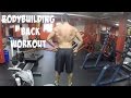 Heavy Bodybuilding Back Workout + Collab Plans: Scott Herman, Matty Fusaro?