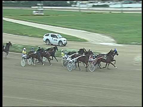 Trotto 11/10/2016 - 3ª corsa