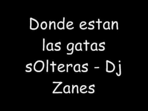 Donde estan las gatas solteras - Dj Zanes y Dj yepa yepa