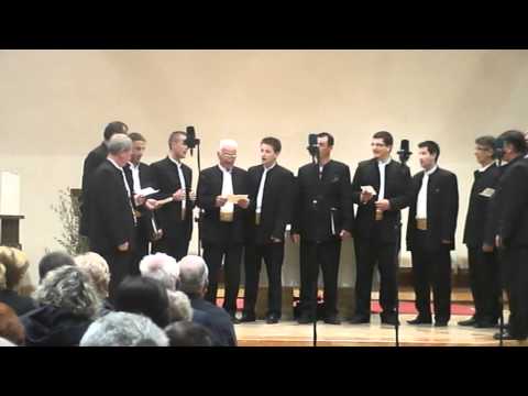 Pučki pivači Tugare - Ja se kajem