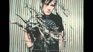 Apoptygma Berzerk - Shine on