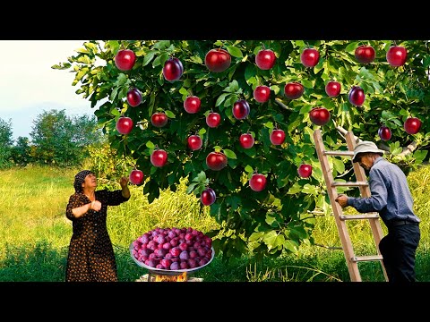 Harvesting Plum | Grandma Baked Bread in the Oven