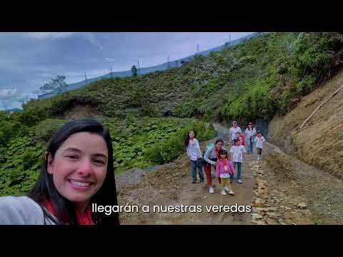 Domingo de Ramos en Alejandría