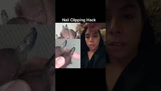 How to Clip Your Dog’s Nails (STRESS FREE)!