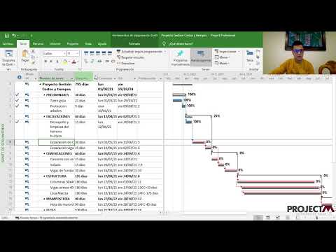 Monitoreo y seguimiento de proyectos - Microsoft Project