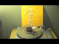 The American Analog Set- First of Four (vinyl)