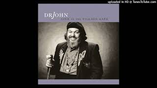 Dr. John - I've Been Hoodood (Live)