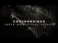 Batman Begins - Corynorhinus (Super Slowed + Cave Sounds)