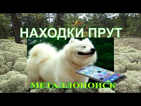 Нашел iPhone когда копал металл. Сдали металлолом . #НЕТпоправкам