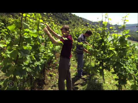 Trailer-Vorschau: Wachau - Valley of Golden Magic