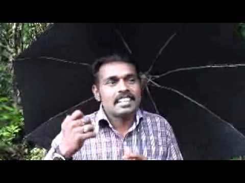 All spice tree, Christine Aquin Pope Canadian Keynote Speaker