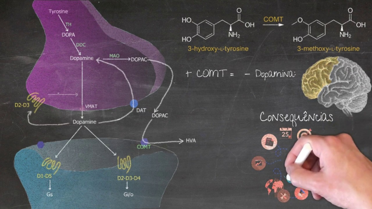 Luiz Henrique Junqueira Dieckmann-25