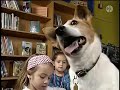 Cilfford S Puppy Days Local Library And Pbskids Org Promo SPANISH RARE