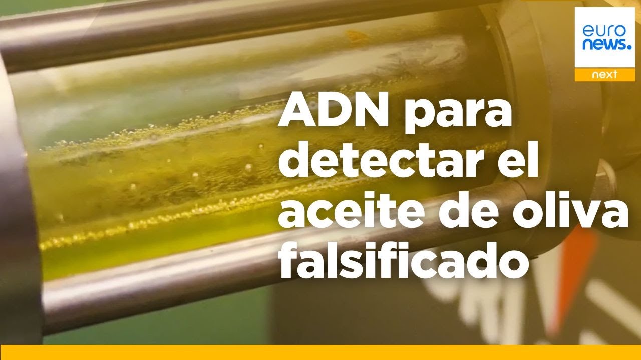 Food Detectives: un kit de prueba de ADN portátil para sacar a la luz el aceite de oliva falsificado