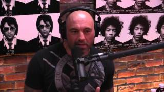 JRE 794 - Miesha Tate Talks Ronda Rousey (from Joe Rogan Experience 794)