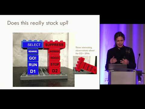 Cosyne 2020 - Linda Wilbrecht - The role of the striatal indirect pathway in choice and rejection