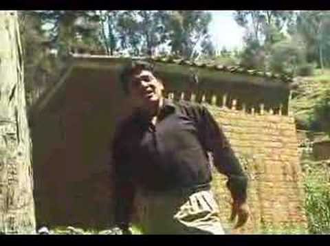 pepe minaya - huerfanito