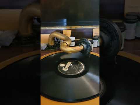 Jimminy Gee! - Arthur Lange's Orchestra  Cameo Records #520 1924