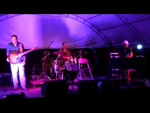 Enrico Crivellaro-Raphael Wressnig-Silvio Berger @Ameno Blues 12.7.2013  002