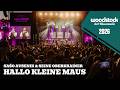 Sašo Avsenik & seine Oberkrainer - Hallo kleine Maus (Live vom Woodstock der Blasmusik 2026)