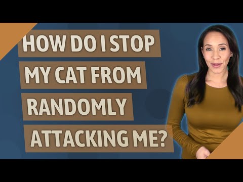 How do I stop my cat from randomly attacking me?