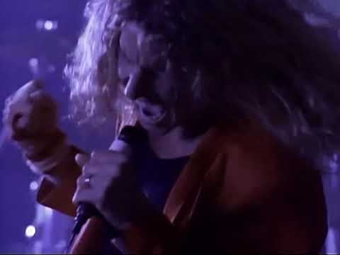 Videoclip de When It's Love (Live) — Van Halen