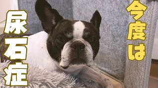 治療が必要になりました😣