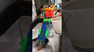 Bent Fork cleanout Live! #gold #goldmining #goldpanning #goldprospecting