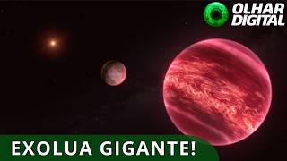 Miniatura do vídeo