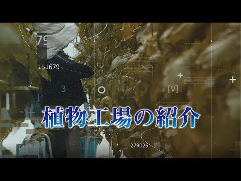 IUCN分類における絶滅の危険性を示す図。
