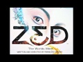 CIRQUE DU SOLEIL「ZED」より The Worlds Meet 