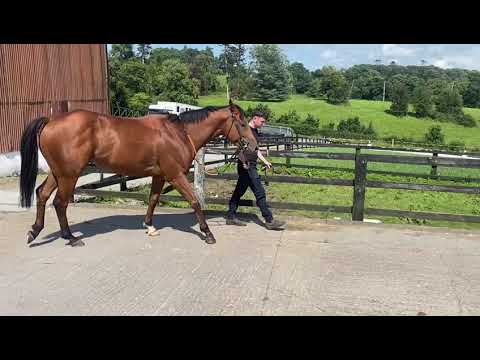 Video 1