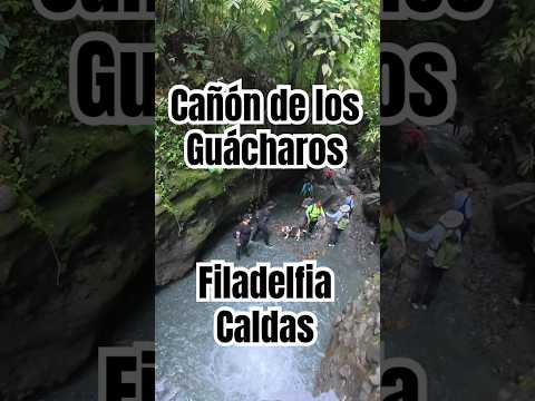 Cañón de los Guácharos Filadelfia Caldas #colombianatureplaces #senderismo #viajandoporcolombia