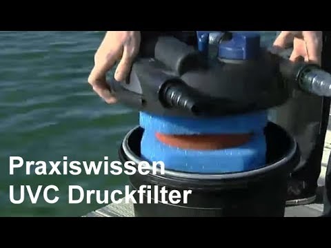 Teichfilter Ratgeber - UVC Druckfilter - Video:Einsatz und Anwendung von Druckfiltern im Gartenteich
