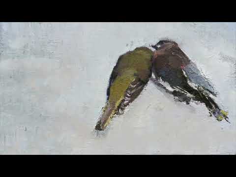 Sarah Jarosz - Orange and Blue (Official Visualizer) from World On The Ground