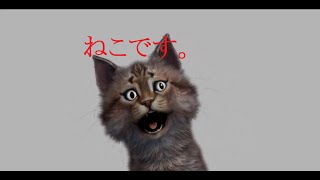 ねこ、、、なんだよなぁ[終末にさよならを、君に救済を。] #part1