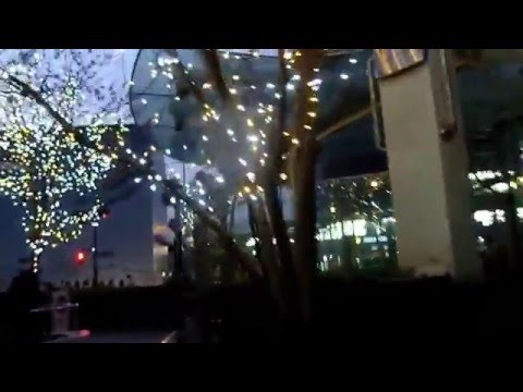 ENTRE TANGOS Y CHAMPAGNE  16-0308#427