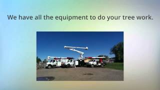 preview picture of video 'Fort Collins Dangerous Tree Removal | Foothills Tree Experts | Dangerous Tree Removal Fort Collins'
