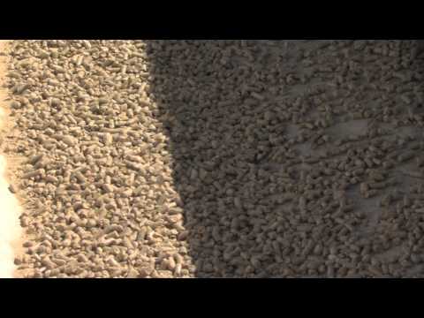 download lagu mp3 mp4 Soy Hull Pellets, download lagu Soy Hull Pellets gratis, unduh video klip Soy Hull Pellets