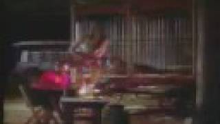 Scatterbrain - big fun